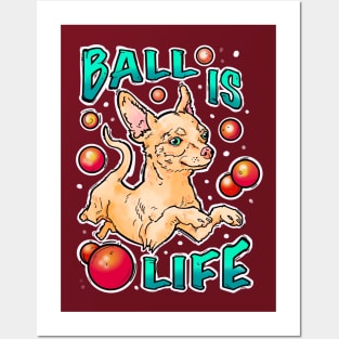 Ball is life! Chihuahua playing Posters and Art